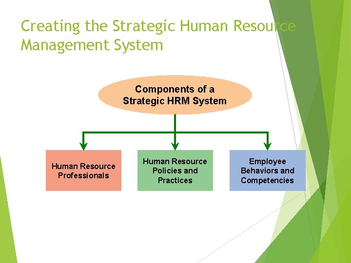 Creating the Strategic Human Resource Management System Components of a Strategic HRM System Human