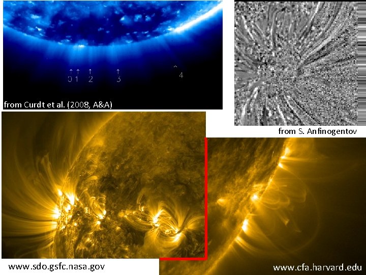 from Curdt et al. (2008, A&A) from S. Anfinogentov www. sdo. gsfc. nasa. gov