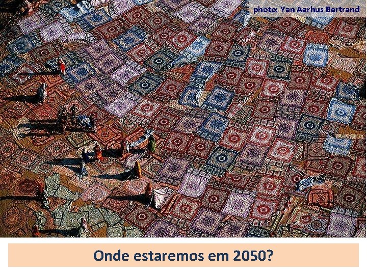 photo: Yan Aarhus Bertrand Onde estaremos em 2050? 