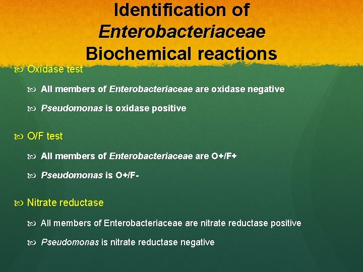 Oxidase test Identification of Enterobacteriaceae Biochemical reactions All members of Enterobacteriaceae are oxidase Oxidase test Identification of Enterobacteriaceae Biochemical reactions All members of Enterobacteriaceae are oxidase
