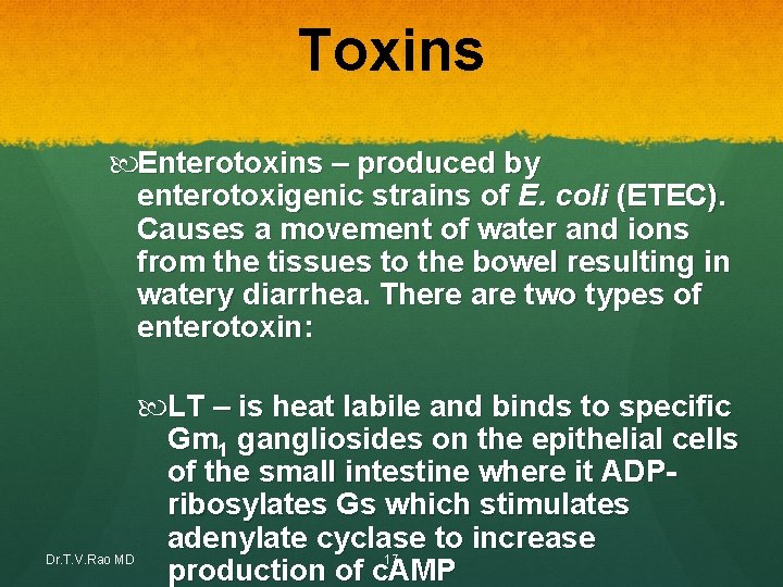 Toxins Enterotoxins – produced by enterotoxigenic strains of E. coli (ETEC). Causes a movement Toxins Enterotoxins – produced by enterotoxigenic strains of E. coli (ETEC). Causes a movement
