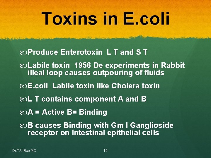 Toxins in E. coli Produce Enterotoxin L T and S T Labile toxin 1956 Toxins in E. coli Produce Enterotoxin L T and S T Labile toxin 1956