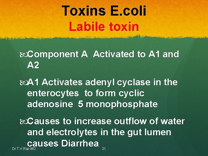 Toxins E. coli Labile toxin Component A Activated to A 1 and A 2 Toxins E. coli Labile toxin Component A Activated to A 1 and A 2