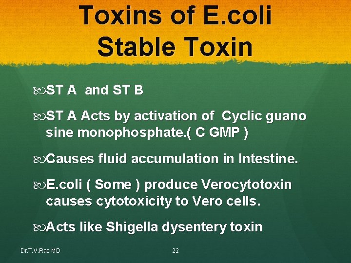 Toxins of E. coli Stable Toxin ST A and ST B ST A Acts Toxins of E. coli Stable Toxin ST A and ST B ST A Acts