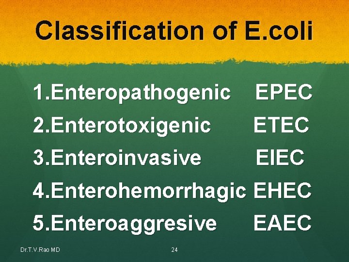 Classification of E. coli 1. Enteropathogenic EPEC 2. Enterotoxigenic ETEC 3. Enteroinvasive EIEC 4. Classification of E. coli 1. Enteropathogenic EPEC 2. Enterotoxigenic ETEC 3. Enteroinvasive EIEC 4.