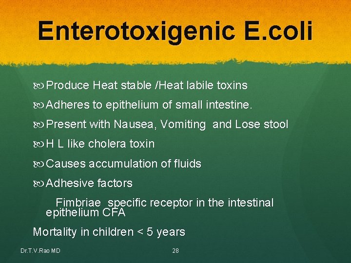 Enterotoxigenic E. coli Produce Heat stable /Heat labile toxins Adheres to epithelium of small Enterotoxigenic E. coli Produce Heat stable /Heat labile toxins Adheres to epithelium of small