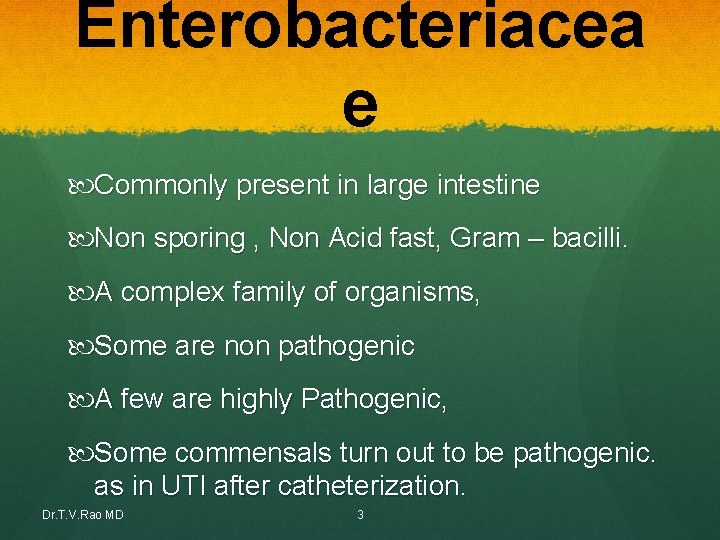 Enterobacteriacea e Commonly present in large intestine Non sporing , Non Acid fast, Gram Enterobacteriacea e Commonly present in large intestine Non sporing , Non Acid fast, Gram