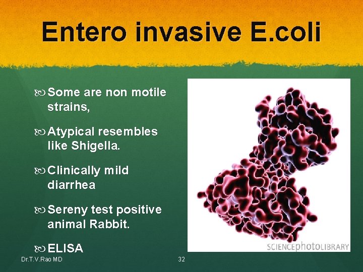 Entero invasive E. coli Some are non motile strains, Atypical resembles like Shigella. Clinically Entero invasive E. coli Some are non motile strains, Atypical resembles like Shigella. Clinically