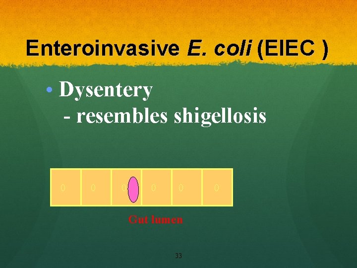 Enteroinvasive E. coli (EIEC ) • Dysentery - resembles shigellosis Gut lumen 33 Enteroinvasive E. coli (EIEC ) • Dysentery - resembles shigellosis Gut lumen 33