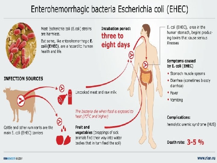 Dr. T. V. Rao MD 36 Dr. T. V. Rao MD 36