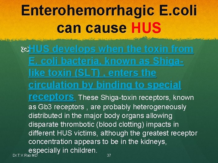 Enterohemorrhagic E. coli can cause HUS develops when the toxin from E. coli bacteria, Enterohemorrhagic E. coli can cause HUS develops when the toxin from E. coli bacteria,