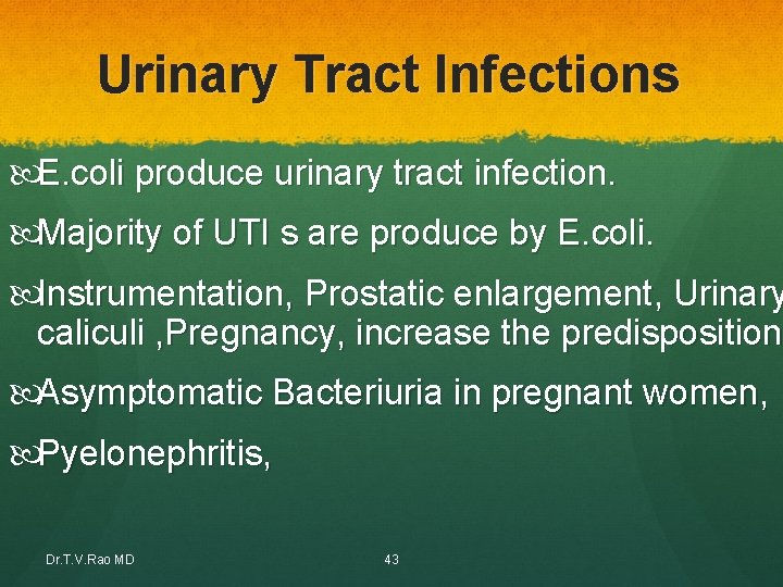 Urinary Tract Infections E. coli produce urinary tract infection. Majority of UTI s are Urinary Tract Infections E. coli produce urinary tract infection. Majority of UTI s are