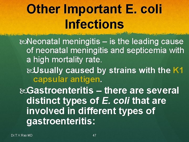Other Important E. coli Infections Neonatal meningitis – is the leading cause of neonatal Other Important E. coli Infections Neonatal meningitis – is the leading cause of neonatal