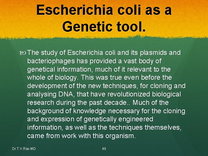 Escherichia coli as a Genetic tool. The study of Escherichia coli and its plasmids Escherichia coli as a Genetic tool. The study of Escherichia coli and its plasmids
