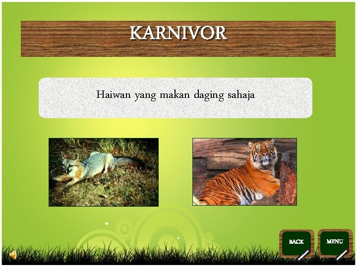 KARNIVOR Haiwan yang makan daging sahaja BACK >> 0 >> 1 >> 2 >>