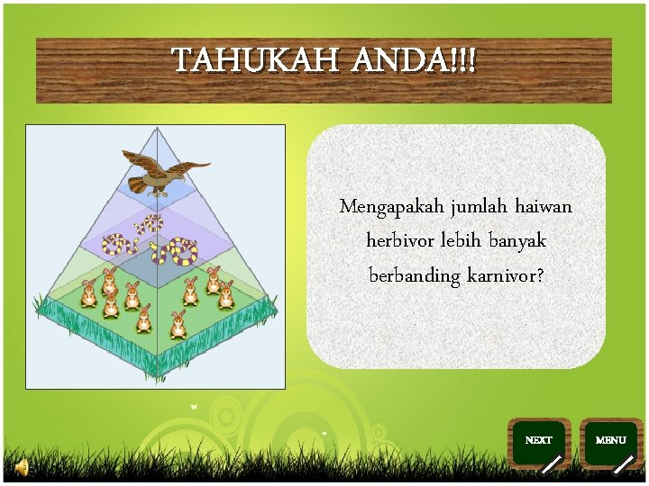 TAHUKAH ANDA!!! Mengapakah jumlah haiwan herbivor lebih banyak berbanding karnivor? NEXT >> 0 >>