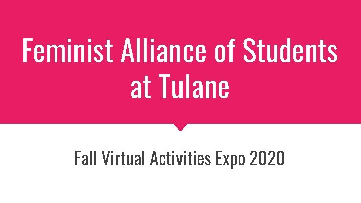 Feminist Alliance of Students at Tulane Fall Virtual Activities Expo 2020 
