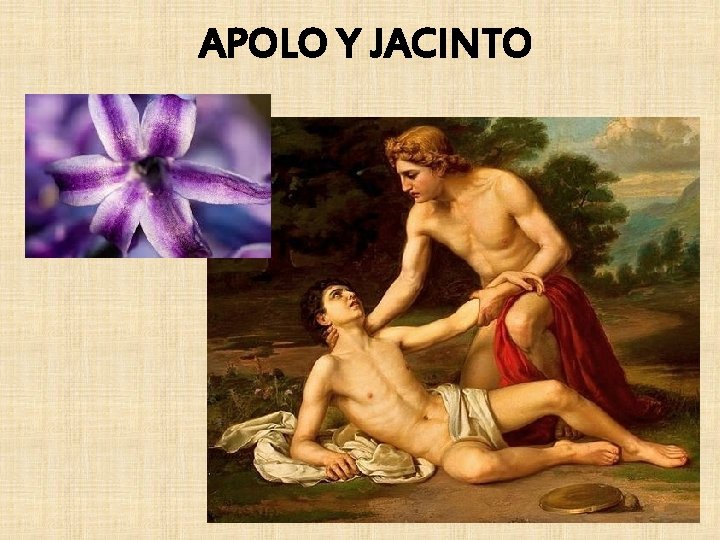 APOLO Y JACINTO 