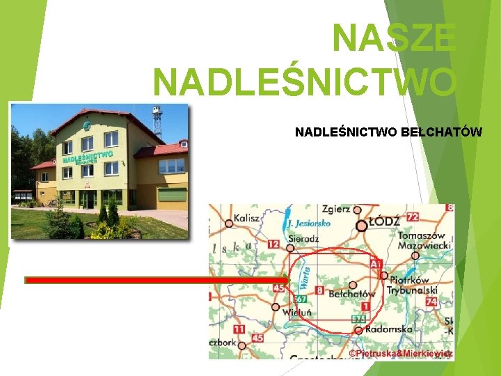 NASZE NADLEŚNICTWO BEŁCHATÓW 