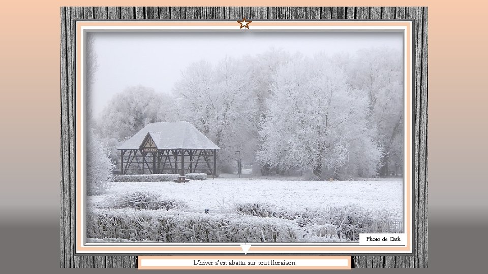 Photo de Cath L’hiver s’est abattu sur tout floraison 