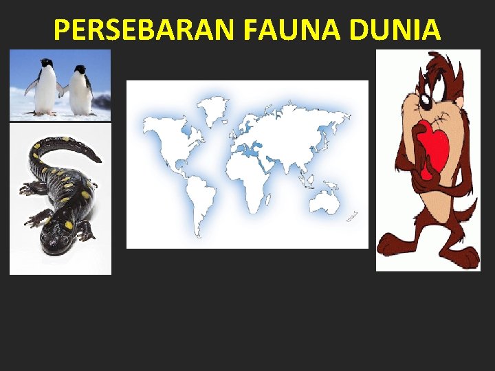 PERSEBARAN FAUNA DUNIA 