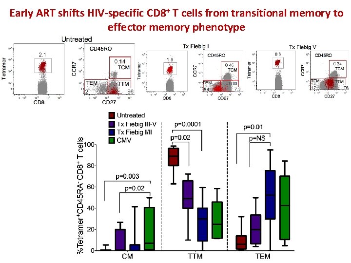 Early ART shifts HIV-specific CD 8+ T cells from transitional memory to effector memory