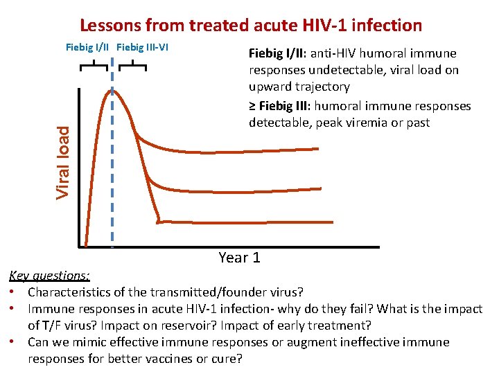 Lessons from treated acute HIV-1 infection Viral load Fiebig I/II Fiebig III-VI Fiebig I/II: