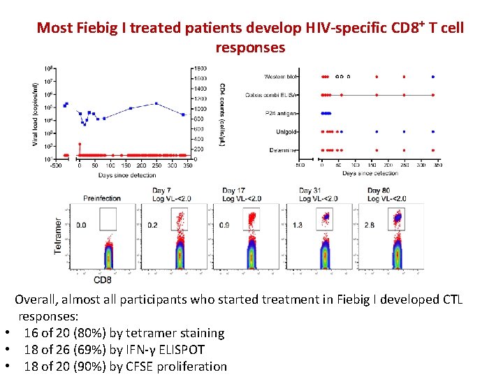 Most Fiebig I treated patients develop HIV-specific CD 8+ T cell responses Overall, almost