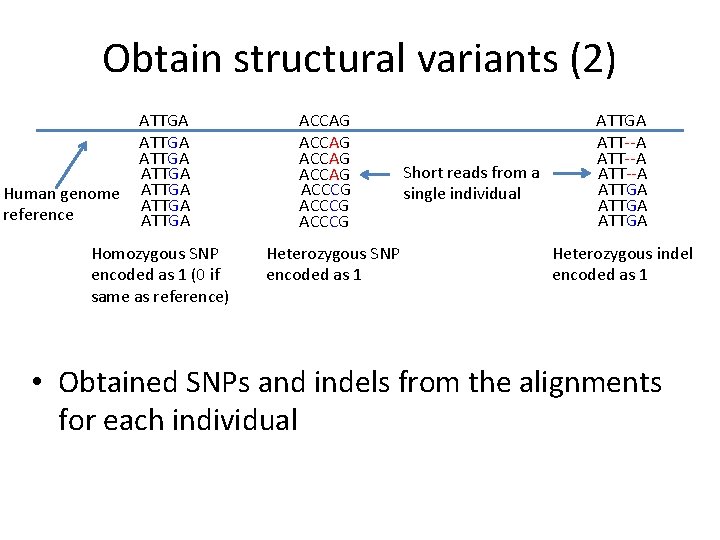 Obtain structural variants (2) Human genome reference ATTGA ATTGA Homozygous SNP encoded as 1