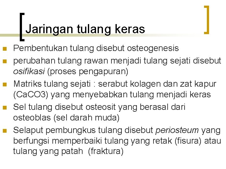 Jaringan tulang keras n n n Pembentukan tulang disebut osteogenesis perubahan tulang rawan menjadi