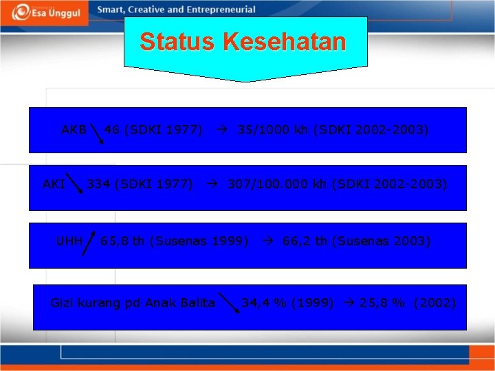 Status Kesehatan AKB AKI UHH 46 (SDKI 1977) 334 (SDKI 1977) 35/1000 kh (SDKI