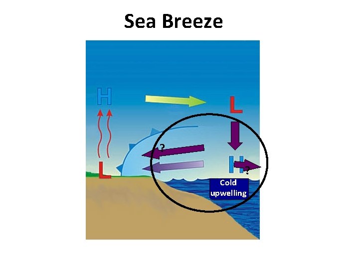 Sea Breeze ? ? Cold upwelling 