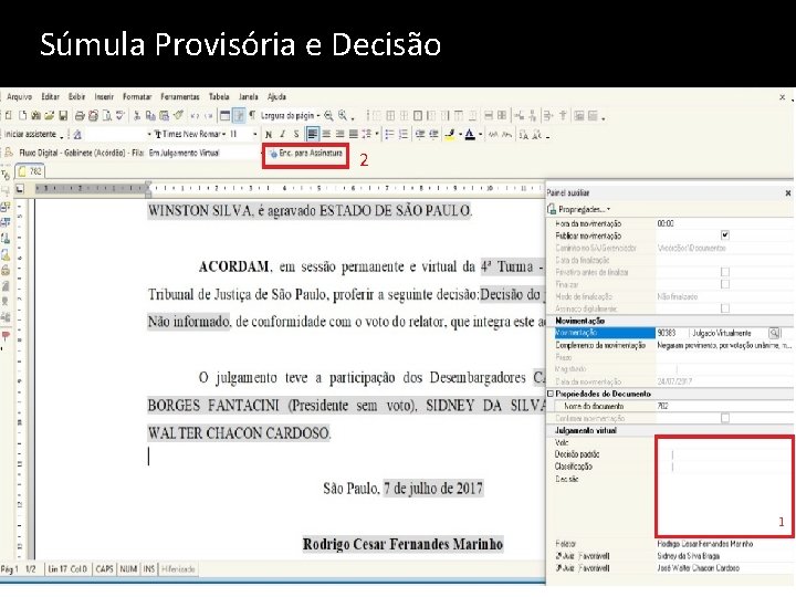 Súmula Provisória e Decisão 2 