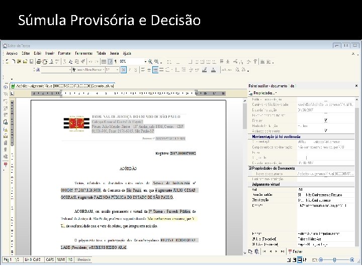 Súmula Provisória e Decisão 