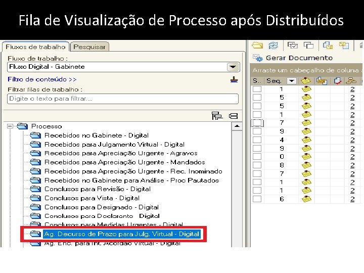 Fila de Visualização de Processo após Distribuídos 