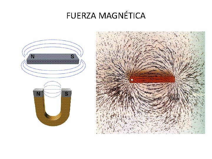 FUERZA MAGNÉTICA 