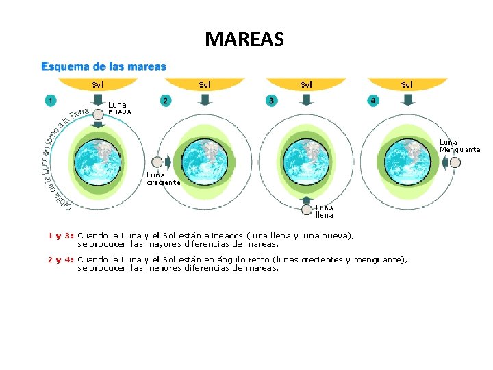 MAREAS 