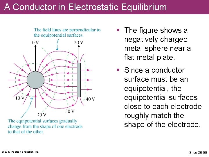 A Conductor in Electrostatic Equilibrium § The figure shows a negatively charged metal sphere