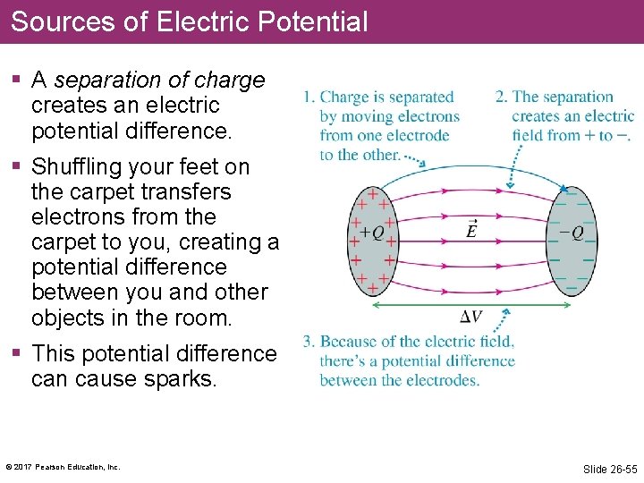 Sources of Electric Potential § A separation of charge creates an electric potential difference.
