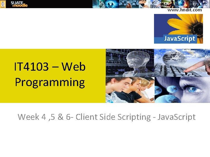 www. hndit. com IT 4103 – Web Programming Week 4 , 5 & 6