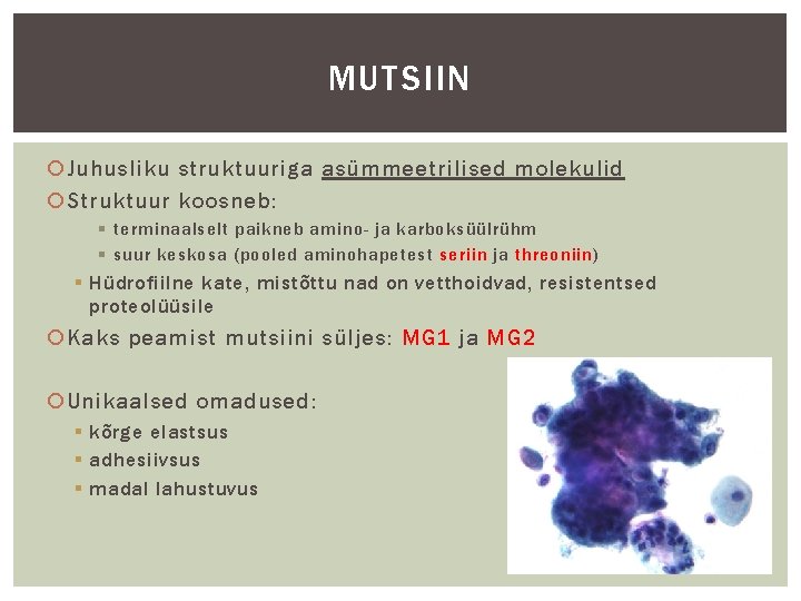 MUTSIIN Juhusliku struktuuriga asümmeetrilised molekulid Struktuur koosneb: § terminaalselt paikneb amino- ja karboksüülrühm §