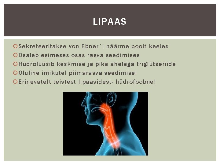 LIPAAS Sekreteeritakse von Ebner`i näärme poolt keeles Osaleb esimeses osas rasva seedimises Hüdrolüüsib keskmise