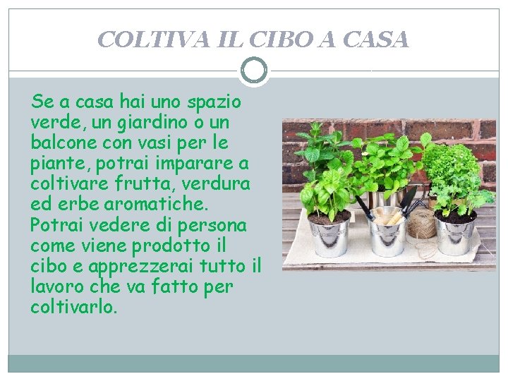 COLTIVA IL CIBO A CASA Se a casa hai uno spazio verde, un giardino