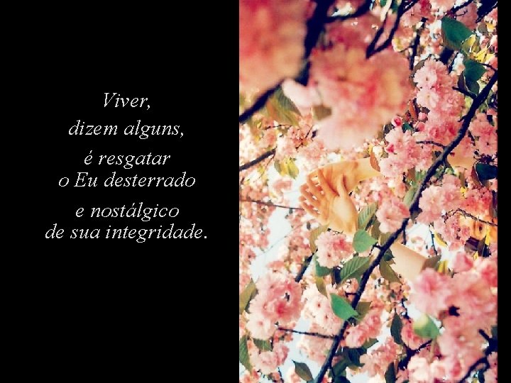 Viver, dizem alguns, é resgatar o Eu desterrado e nostálgico de sua integridade. Viver, dizem alguns, é resgatar o Eu desterrado e nostálgico de sua integridade.
