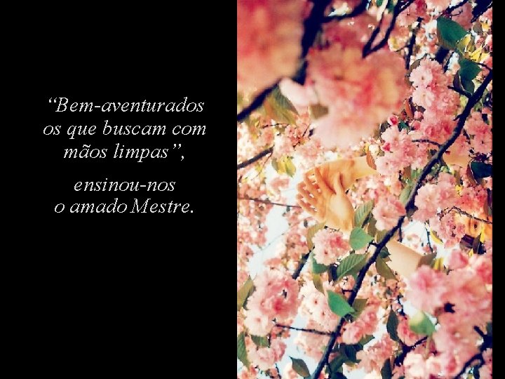 “Bem-aventurados os que buscam com mãos limpas”, ensinou-nos o amado Mestre. “Bem-aventurados os que buscam com mãos limpas”, ensinou-nos o amado Mestre.