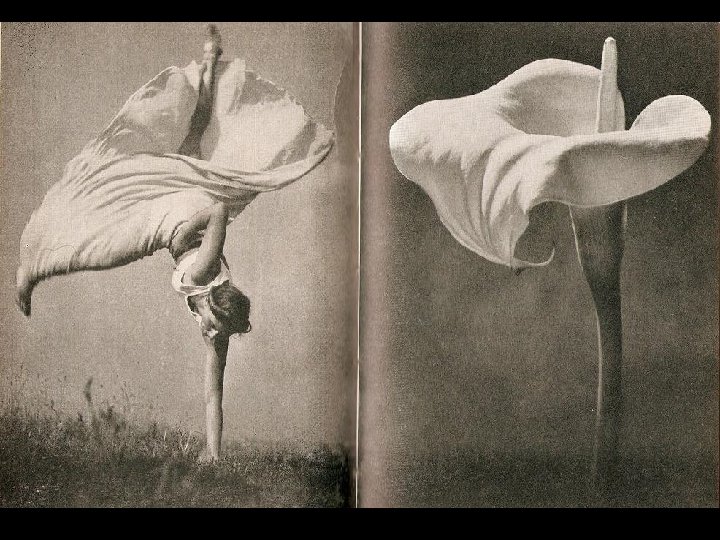 HÁ BELEZA EM TUDO. MAS NEM TODOS SÃO CAPAZES DE VER. HÁ BELEZA EM TUDO. MAS NEM TODOS SÃO CAPAZES DE VER.