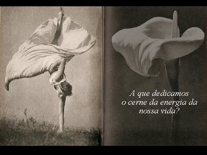 A que dedicamos o cerne da energia da nossa vida? A que dedicamos o cerne da energia da nossa vida?