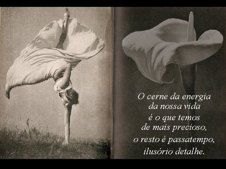 O cerne da energia da nossa vida é o que temos de mais precioso, O cerne da energia da nossa vida é o que temos de mais precioso,