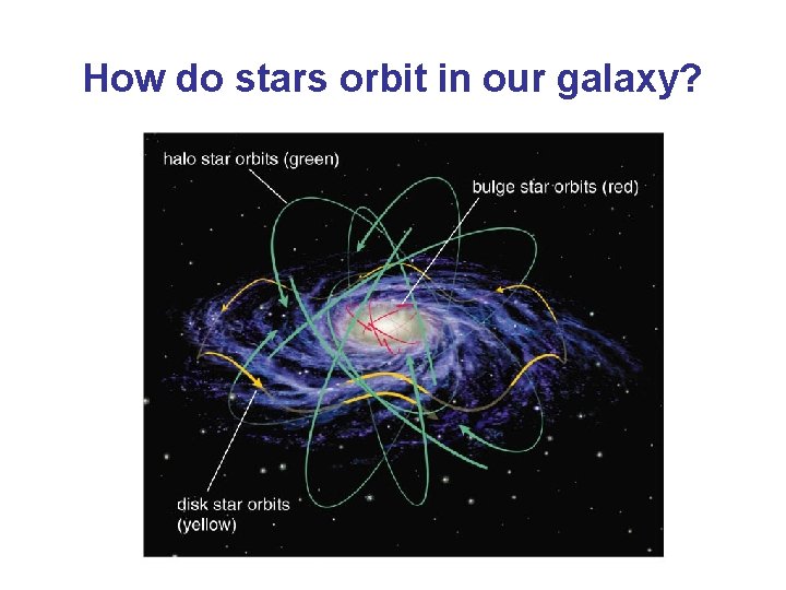 How do stars orbit in our galaxy? 