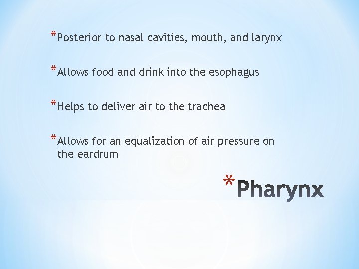 *Posterior to nasal cavities, mouth, and larynx *Allows food and drink into the esophagus